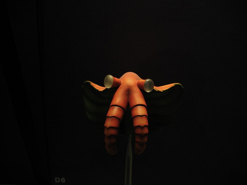Natural History Museum