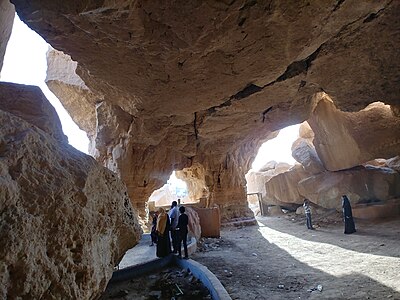 Al-Ahsa Oasis
