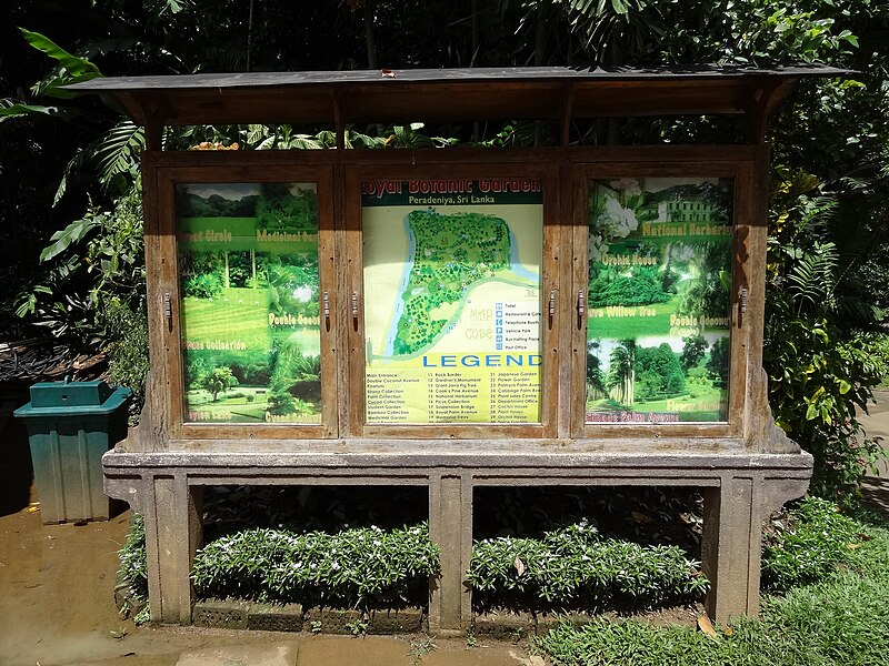 Royal Botanic Gardens, Peradeniya