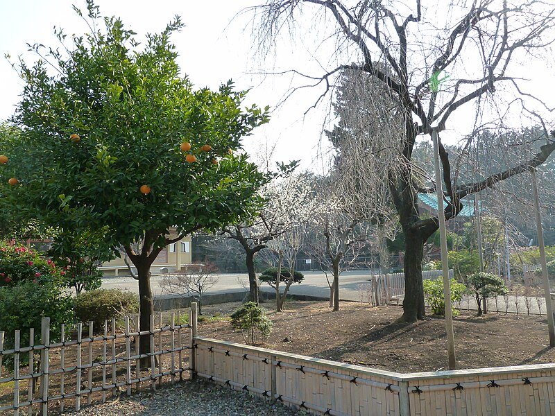 Kan'ei-ji Temple