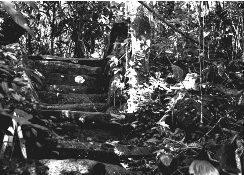Gunung Padang Megalithic Site