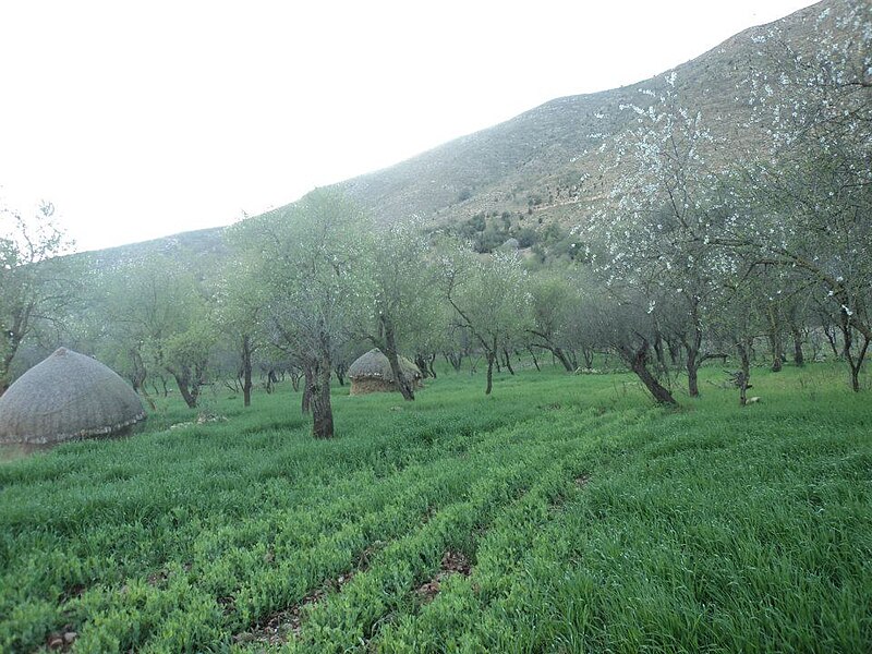 Al Hoceima National Park