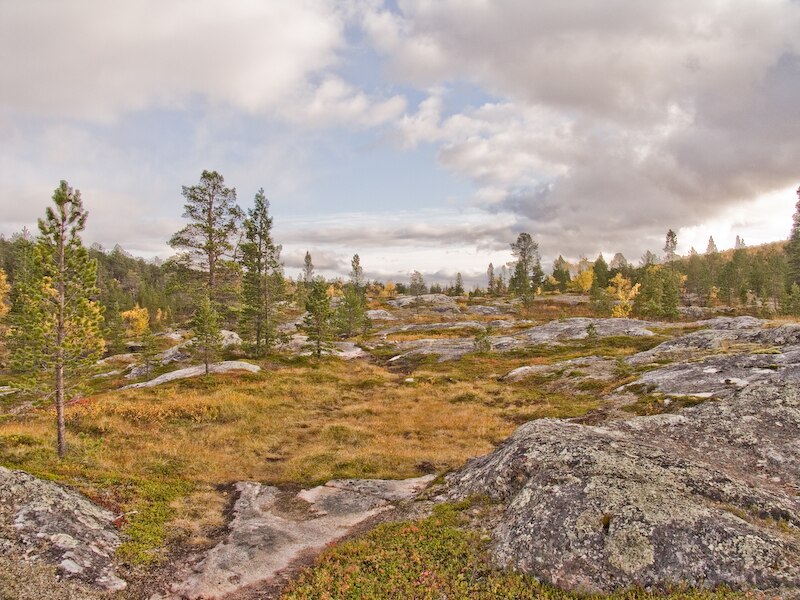 Øvre Dividal National Park