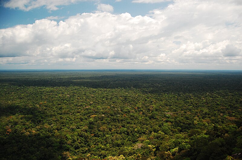 Pico da Neblina National Park