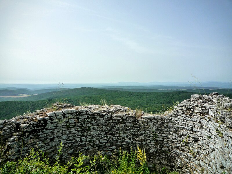 Lyutitsa