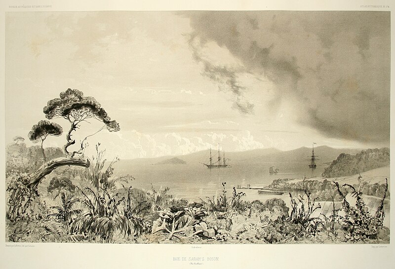 Auckland Islands