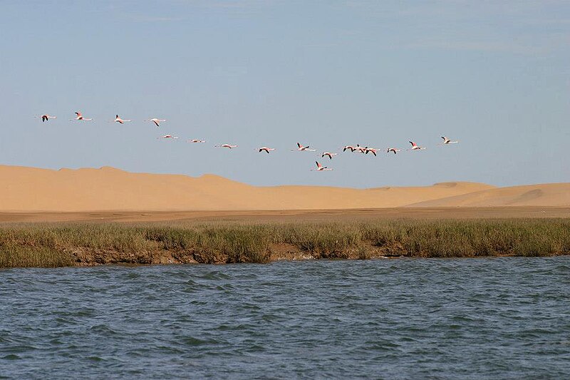 Khenifiss National Park
