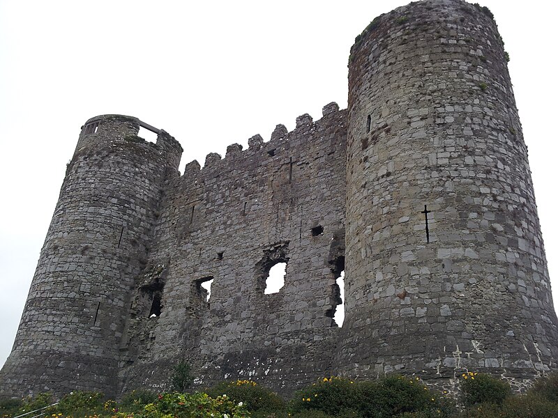 Carlow Castle