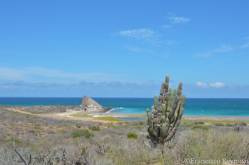Cabo Pulmo National Park