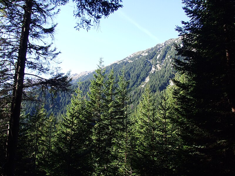 Piatra Craiului National Park