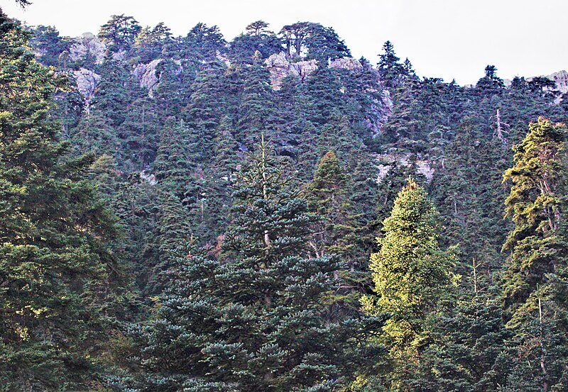 Talassemtane National Park