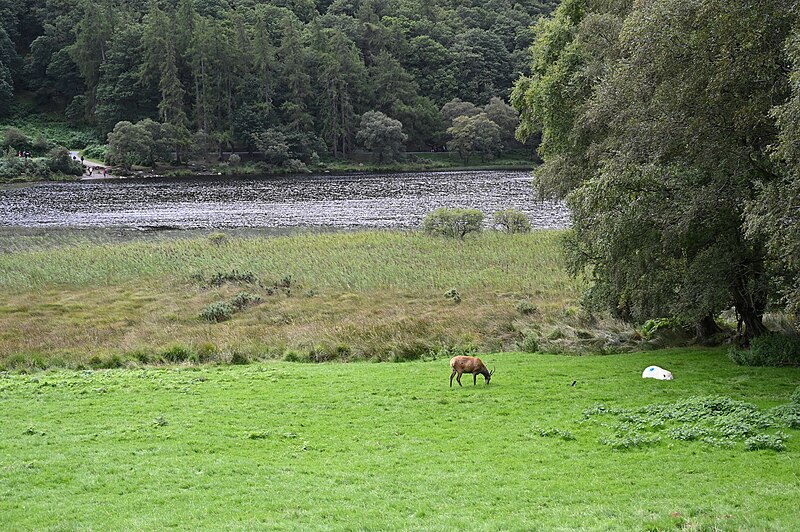 Wicklow Mountains National Park