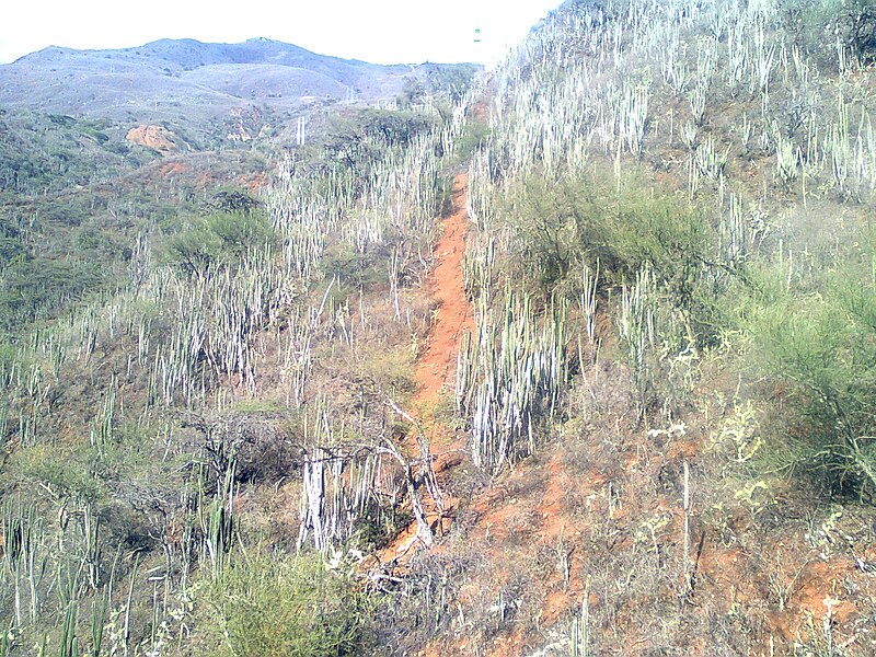 Chicamocha National Park