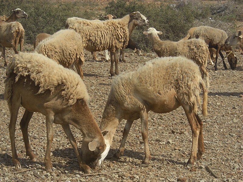 Macuira National Natural Park