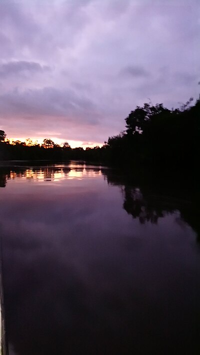 Sanquianga National Natural Park