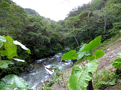 Tatamá National Natural Park