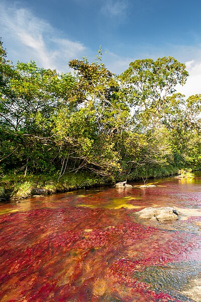 Tinigua National Natural Park