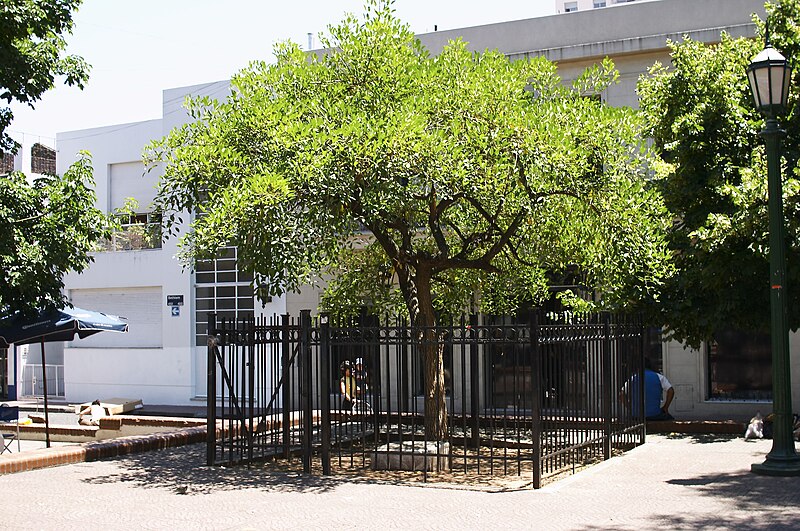 plaza Dorrego