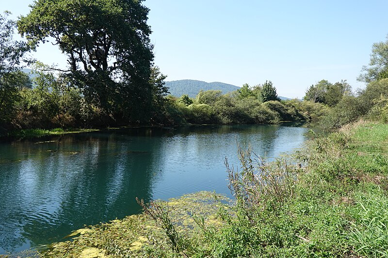 Ljubljanica
