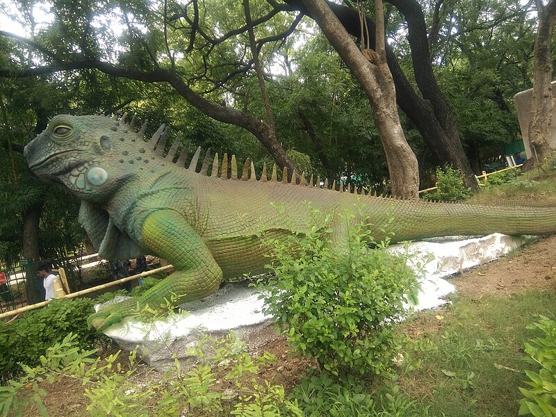 Nehru Zoological Park