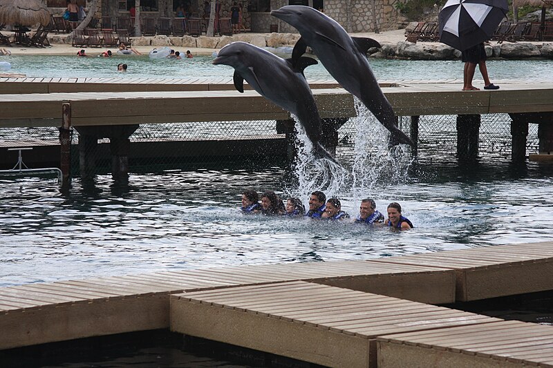 Xcaret