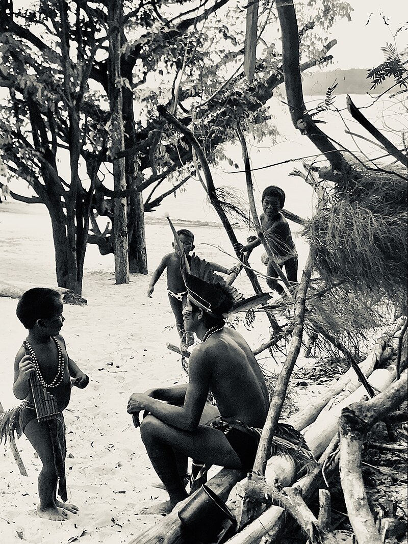 Amazônia National Park