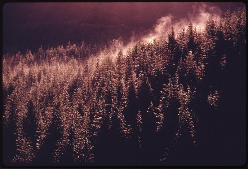 Olympic National Park