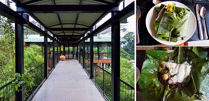 Sinharaja Forest Reserve