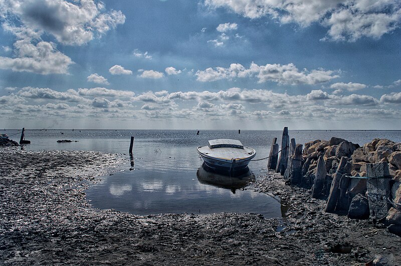 Lake Burullus