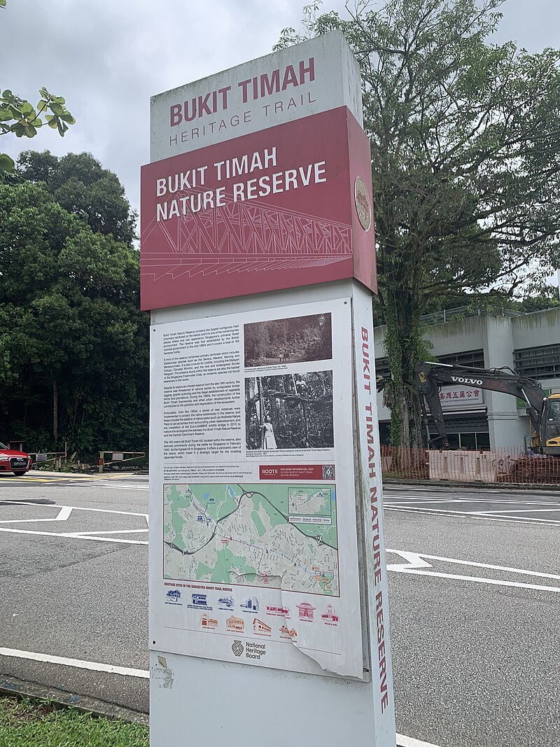Bukit Timah Nature Reserve