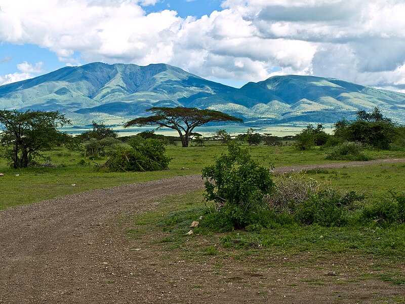 Olduvai Gorge Museum