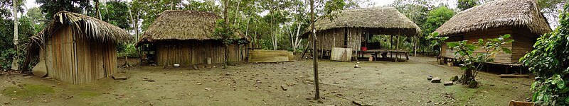 Manu National Park