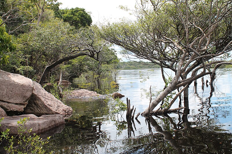 Anavilhanas National Park