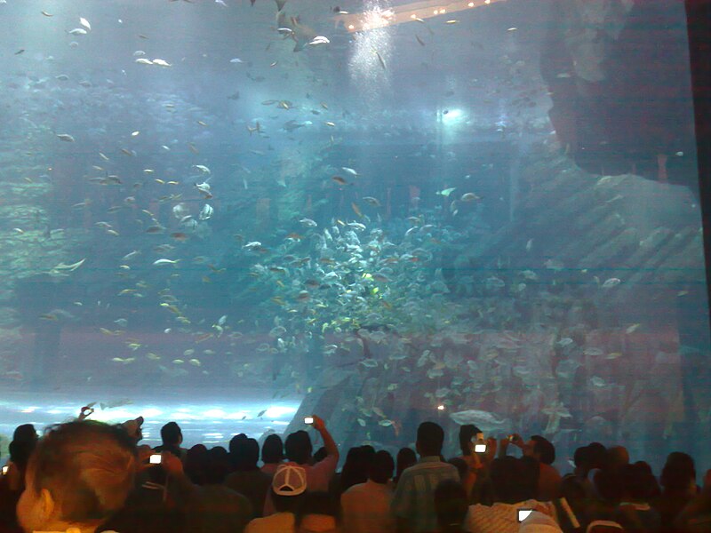 Dubai Aquarium and Underwater Zoo