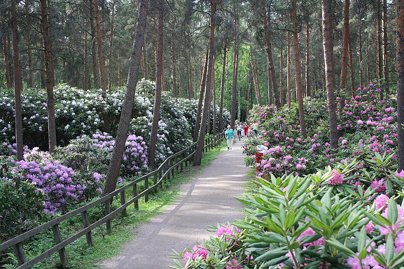 Haaga Rhododendron Park