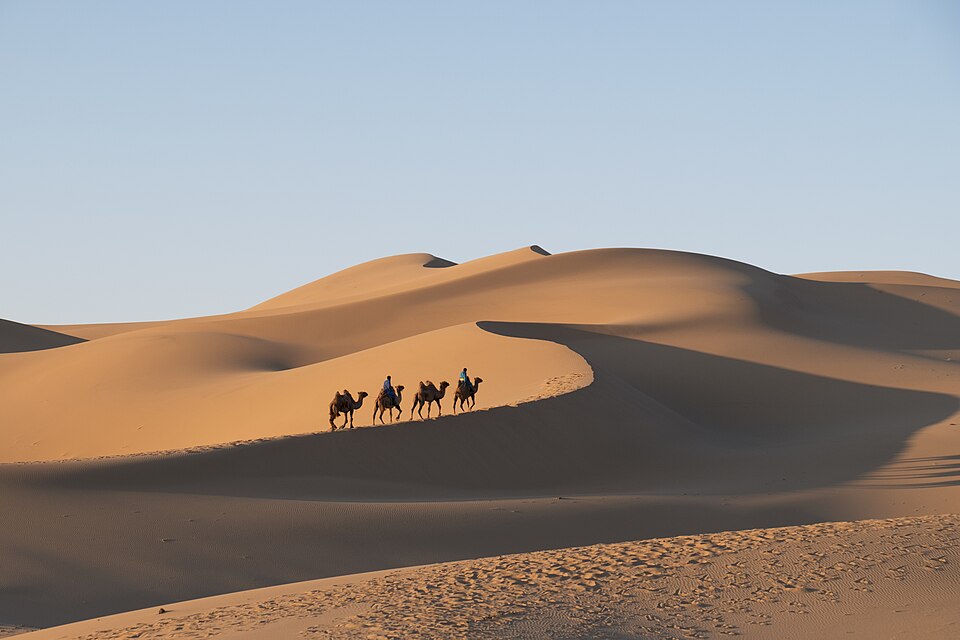 Gobi Desert