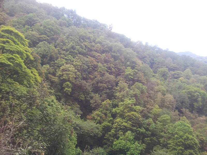 Langtang National Park