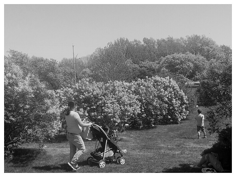 Central Experimental Farm