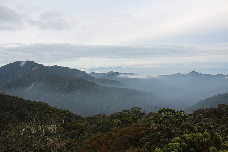 Tropical Rainforest Heritage of Sumatra