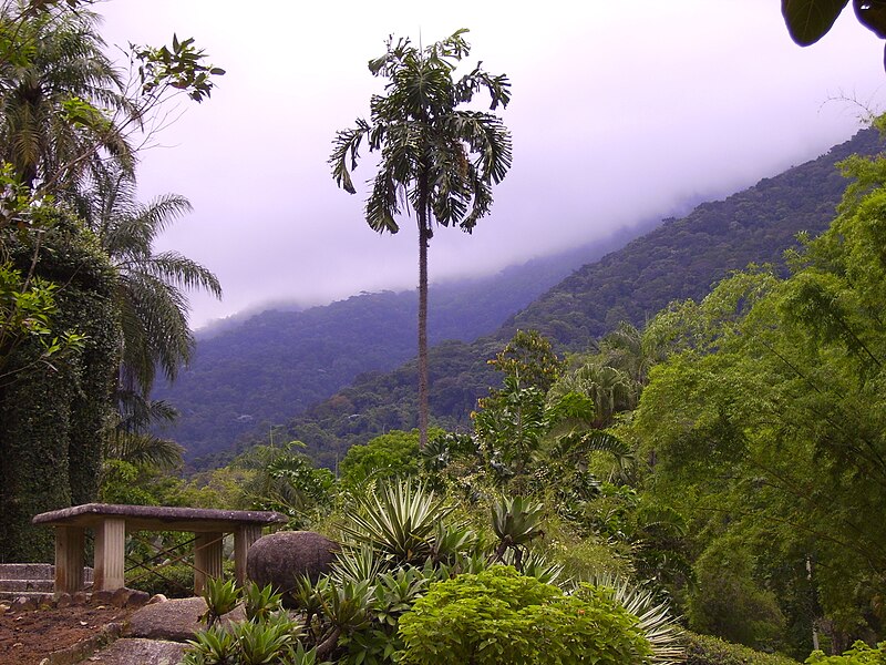 Rio de Janeiro Botanical Garden