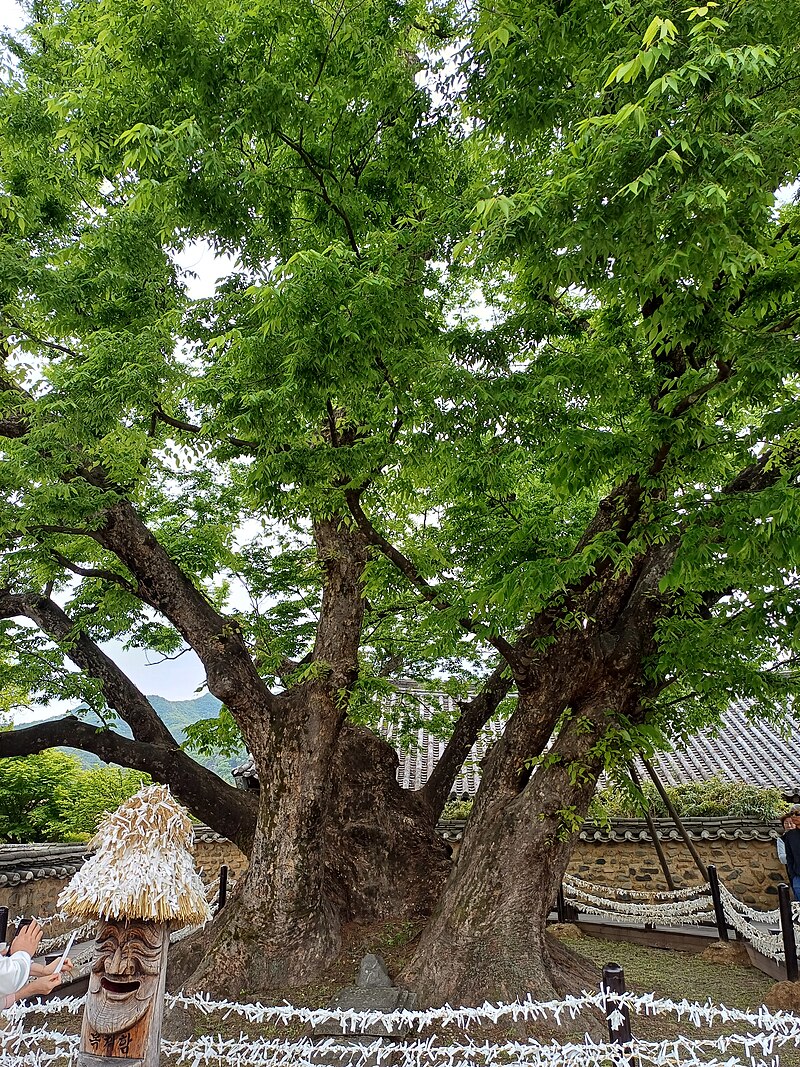 Hahoe Folk Village