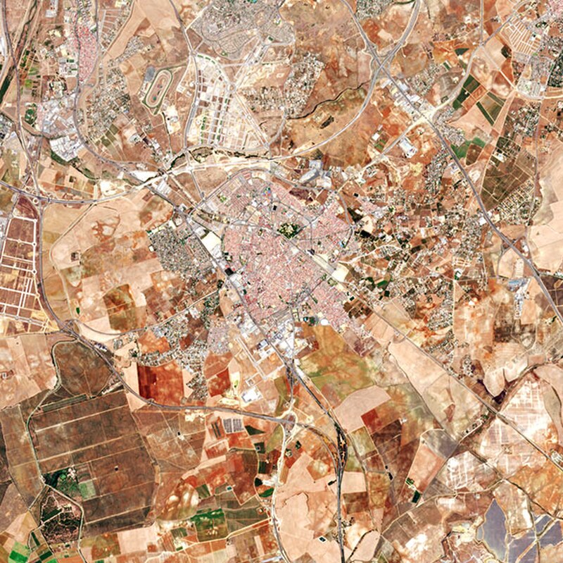 Doñana National and Natural Park