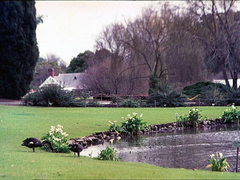 Adelaide Botanic Garden