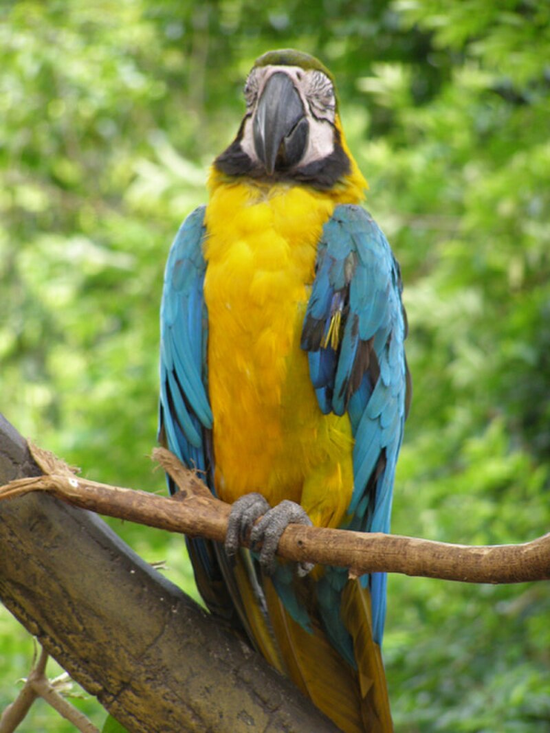 Melaka Zoo and Bird Park