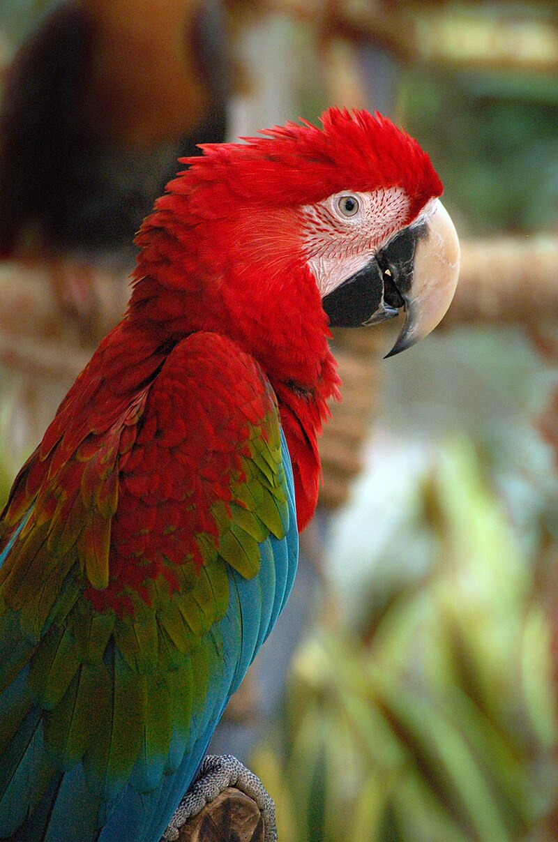 Avilon Zoo