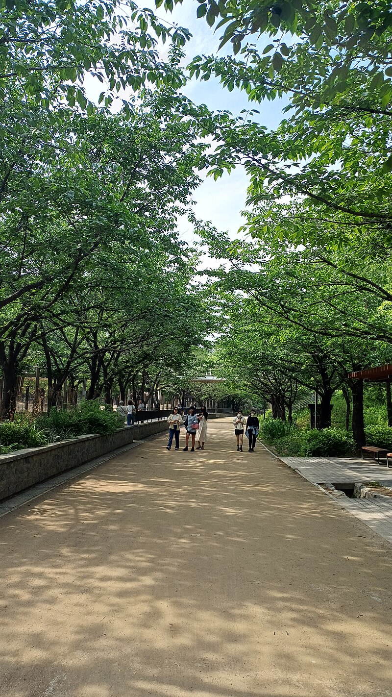 Seoul Forest