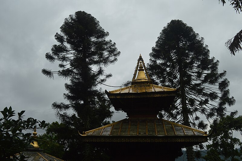 Bajrayogini Temple