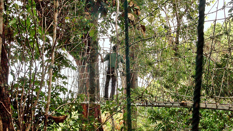 Batang Ai National Park