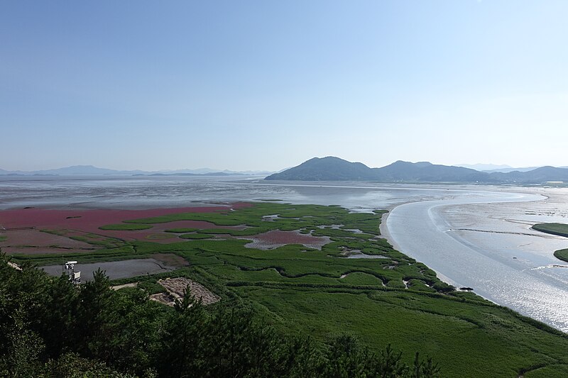 Suncheon Bay