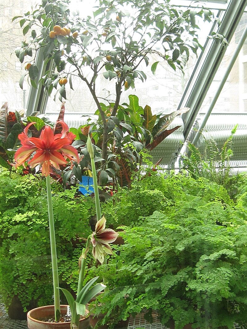 Isabella Stewart Gardner Museum